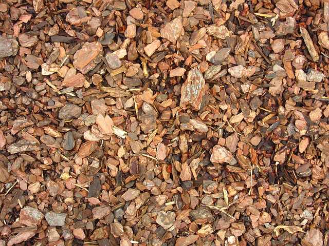 ᐅ ᐅ Rindenmulch in ihrem Garten so geht's richtig